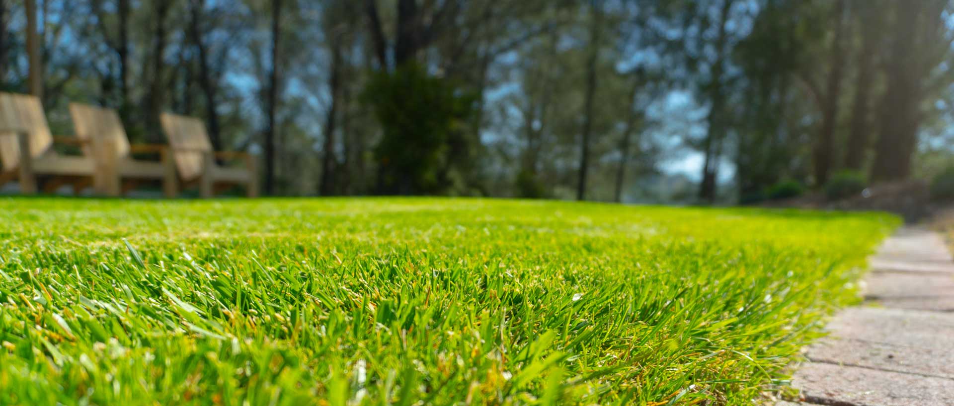 Lawn maintenance image 4