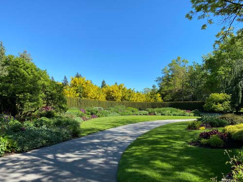 Lawn maintenance image 1